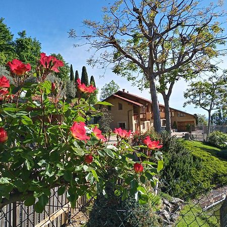 L'Albore Costigliole Saluzzo Εξωτερικό φωτογραφία