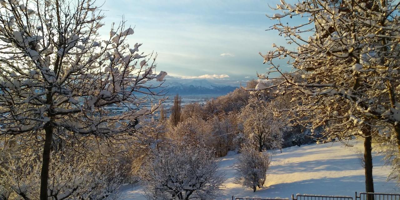 L'Albore Costigliole Saluzzo Εξωτερικό φωτογραφία